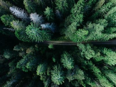 Bodrum'da Yatırım Arazisi 2